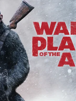 Program PRO TV de sarbatori: ce filme putem vedea la TV pe Pro Tv? (2024)