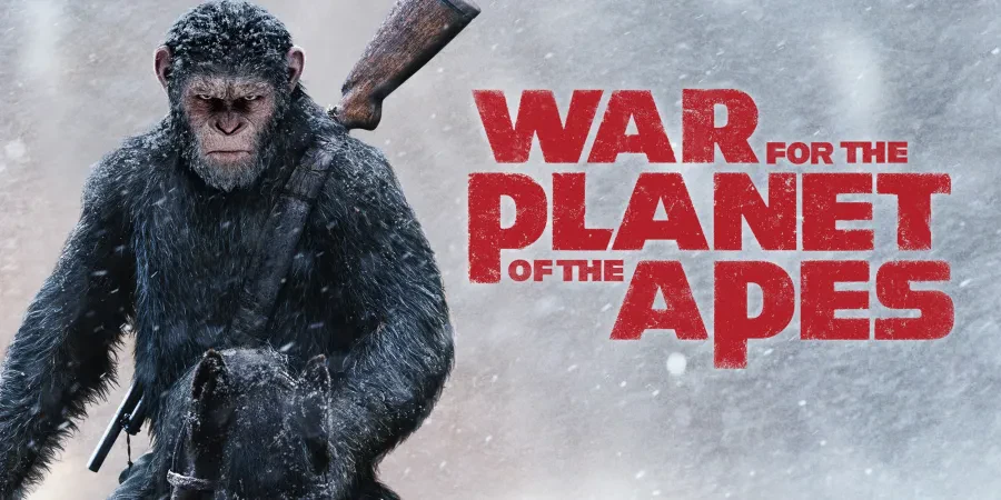 Program PRO TV de sarbatori: ce filme putem vedea la TV pe Pro Tv? (2024)