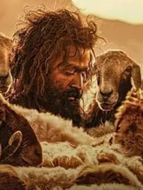 Un super film despre supravietuire din 2024, disponibil pe Netflix!