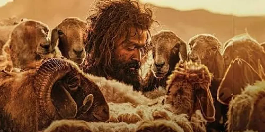 Un super film despre supravietuire din 2024, disponibil pe Netflix!