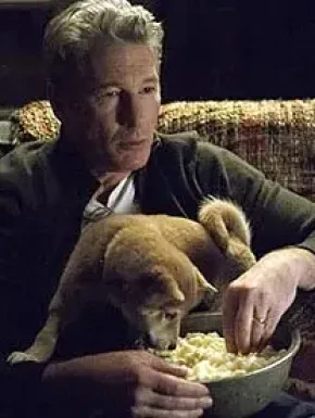 Un top pentru nostalgici: Top 5 filme cu celebrul actor Richard Gere!