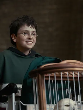 Harry Potter revine oficial: afla aici când apare serialul mult așteptat!