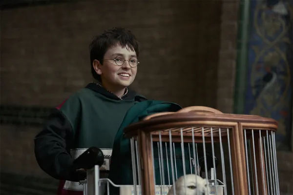 Harry Potter revine oficial: afla aici când apare serialul mult așteptat!